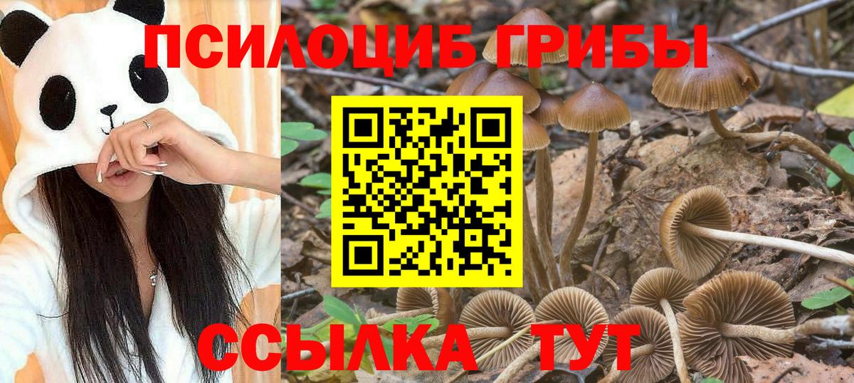 Сызрань  Псилоцибиновые грибы прущие грибы  Вход с VPN 