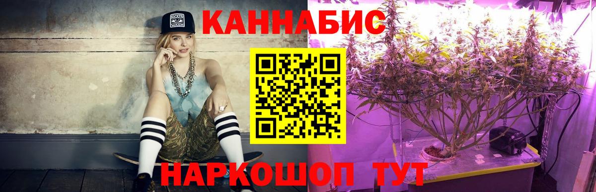Каннабис планчик Сызрань